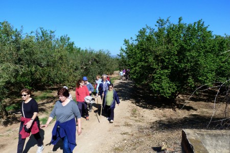Tornem a caminá